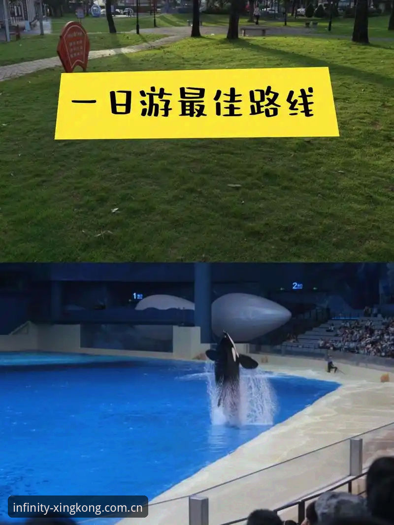 星空体育平台新版本更新内容全解析：从安装到功能使用的完整操作教程
